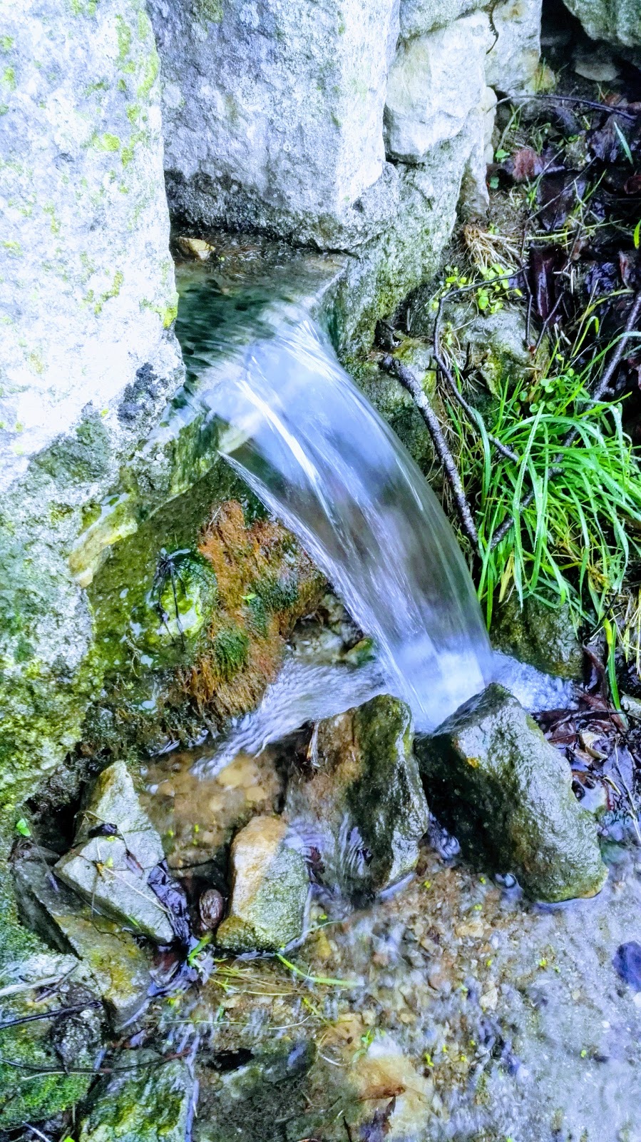 IMG_20180123_091251-EFFECTS
